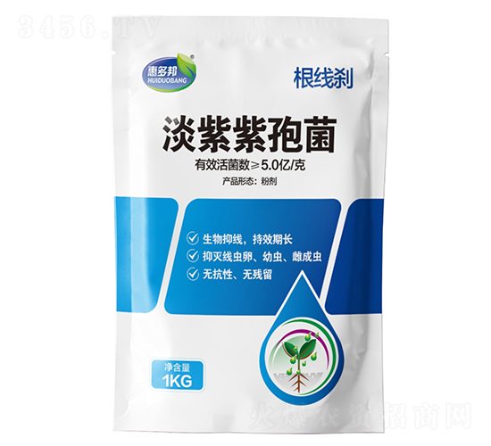 �����x�������߾�-�ݶ��