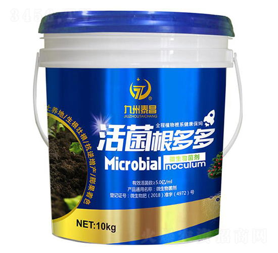 ��������-��̩����