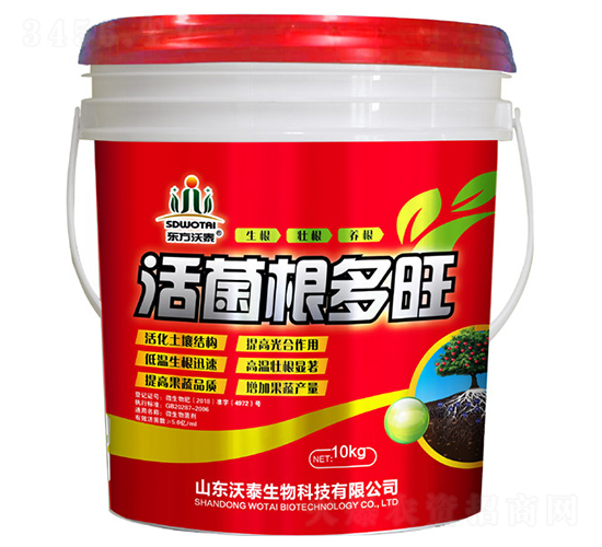 ���������-��̩����