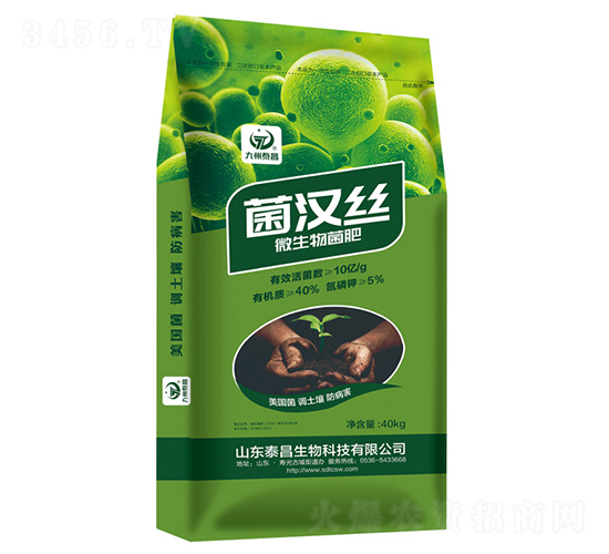 ���h�z΢�������-��̩����