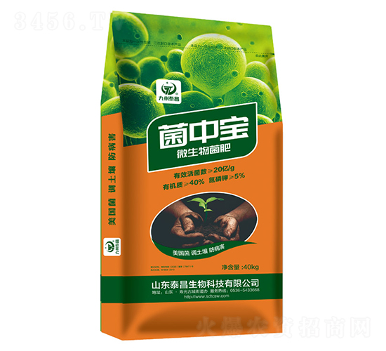 ���Ќ�΢�������-��̩����