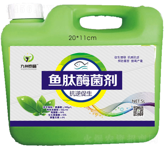 �~��ø���������������-��̩����