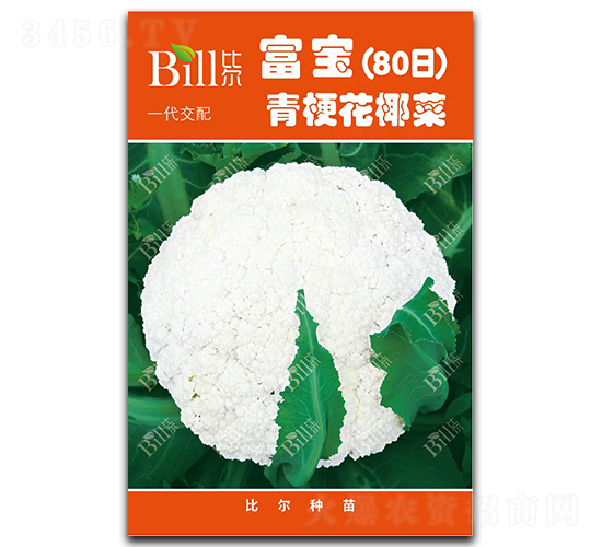 ����80��-��Ҭ�˷N��-�Ƞ�