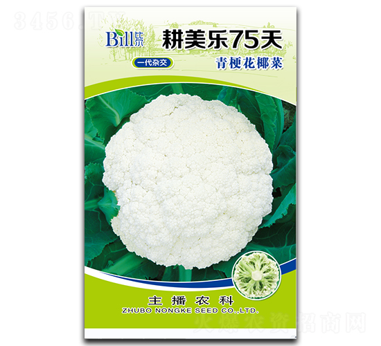 ������(l��)75��-��Ҭ�˷N��-�Ƞ�