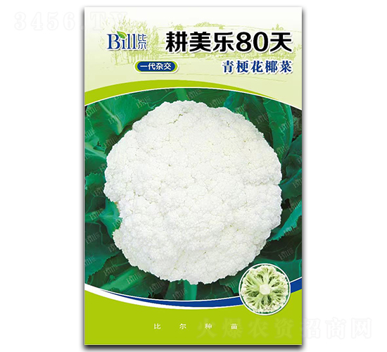 ������(l��)80��-��Ҭ�˷N��-�Ƞ�