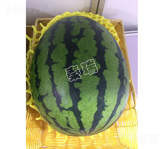 ��������2̖(h��o)-���ϷN��-����