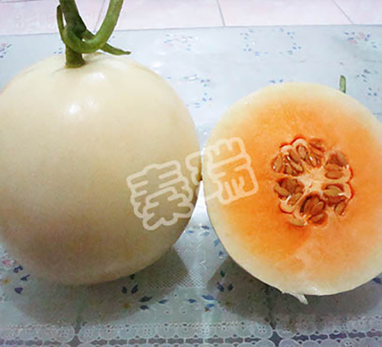 �F��ѩ��-��ϷN��-����