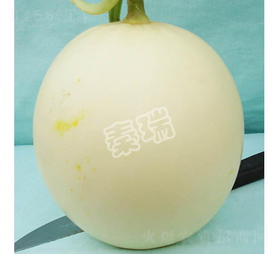 С��-��ϷN��-����