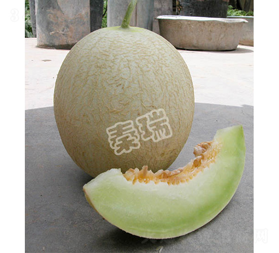 ��Ʒ�y����-��ϷN��-����