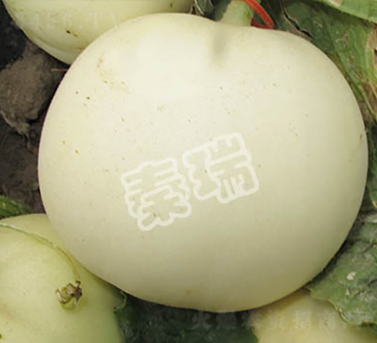 ����88-��ϷN��-����