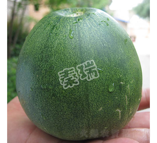 �������-��ϷN��-����