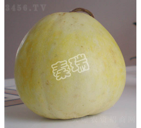 ������̖(h��o)-��ϷN��-����