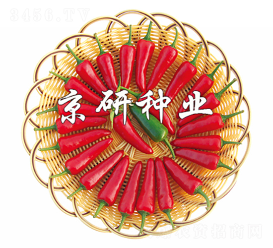 ����106-�����N��-���зN�I(y��)