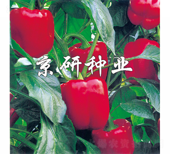 �t��2̖(h��o)-�����N��-���зN�I(y��)