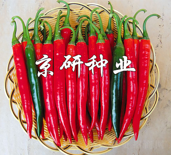 ����418-�����N��-���зN�I(y��)