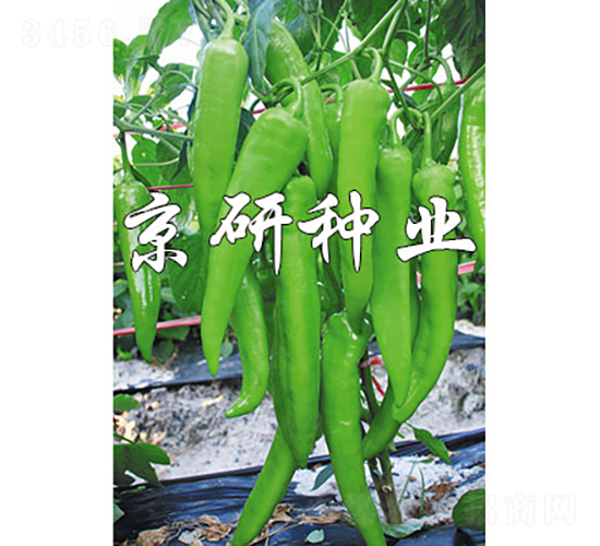 ��(gu��)��912-�����N��-���зN�I(y��)