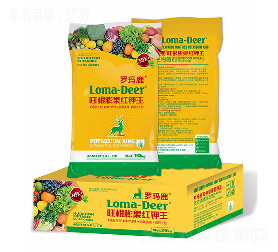 ��������t���(��)-�_��¹-���L