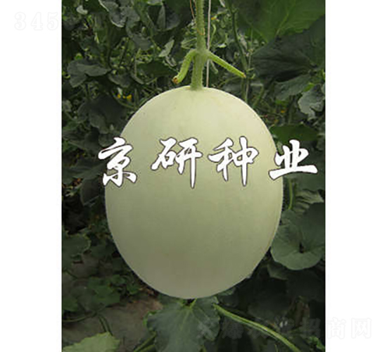 �����2̖-��ϷN��-���зN�I(y��)