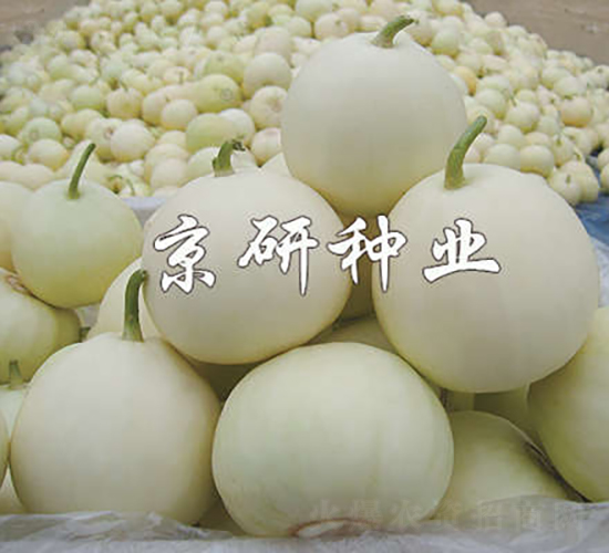 ����352-��ϷN��-���зN�I(y��)