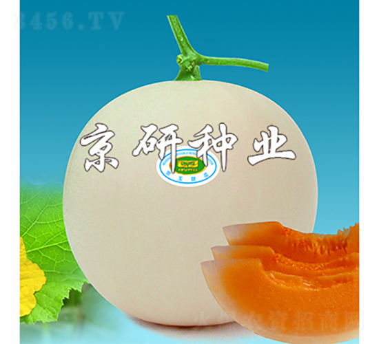 ��������-��ϷN��-���зN�I(y��)