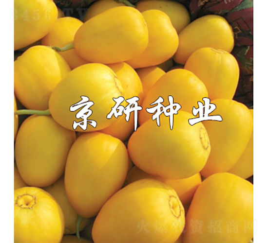 ����357-��ϷN��-���зN�I(y��)