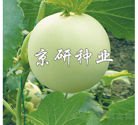 ����1̖-��ϷN��-���зN�I(y��)