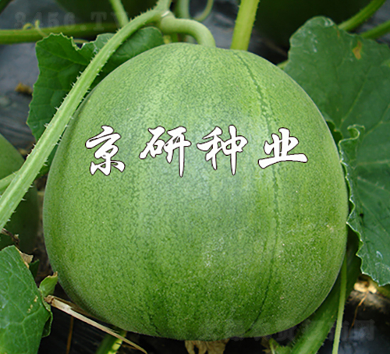 ����G��2̖-��ϷN��-���зN�I(y��)