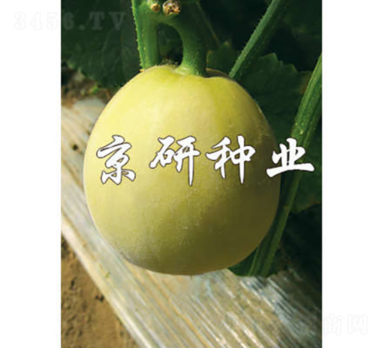 ����417-��ϷN��-���зN�I(y��)