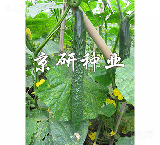 ���д���G3̖-�S�ϷN��-���зN�I(y��)