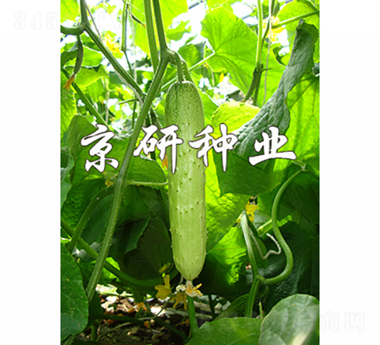 ���к���7̖-�S�ϷN��-���зN�I(y��)