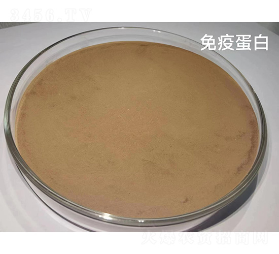 ���ߵ���-��������