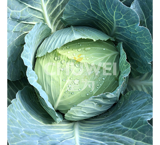 �ʼ�70-���{�N��-��������