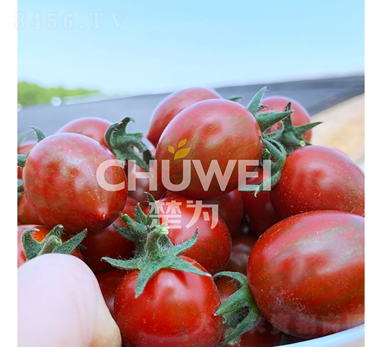 ����2̖(h��o)-���ѷN��-��������