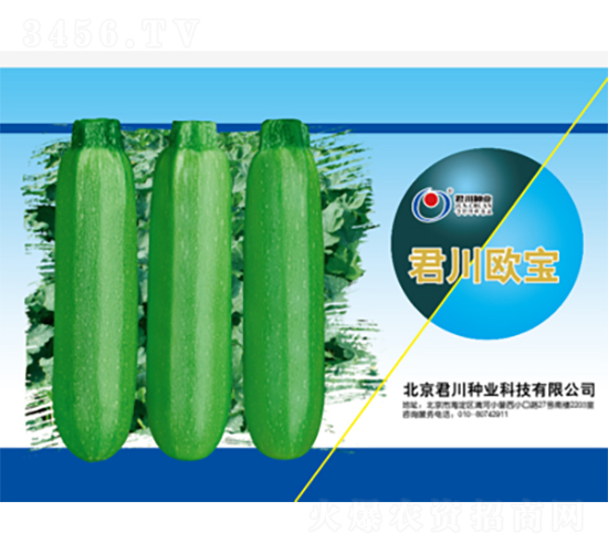 �����W��-�����J�N��-�����N�I(y��)