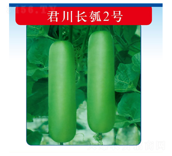 �����L�2̖-�����J�N��-�����N�I(y��)