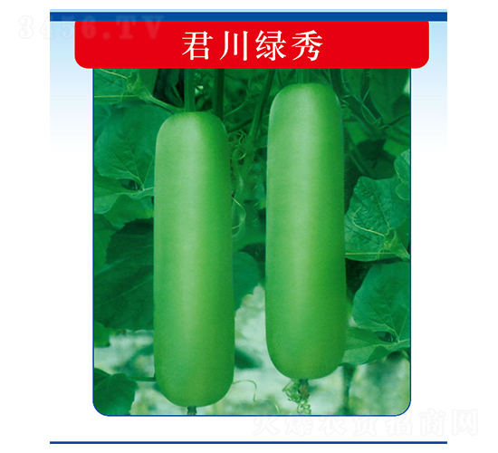 �����G��-�����J�N��-�����N�I(y��)