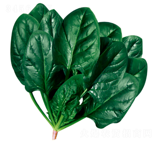 ����503-���˷N��-�����N�I(y��)