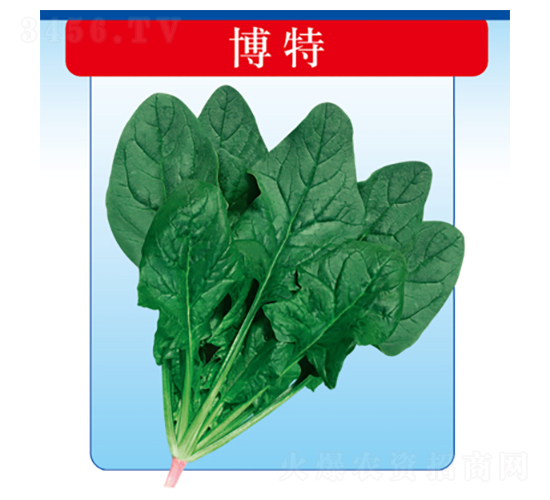 ����-���˷N��-�����N�I(y��)