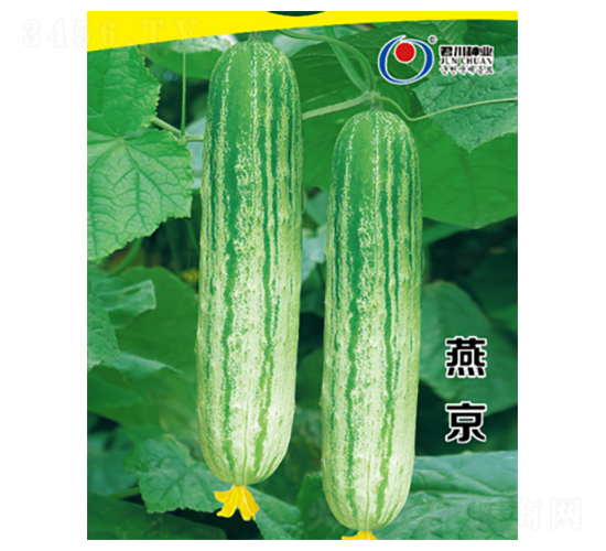 �ྩ-�S�ϷN��-�����N�I(y��)