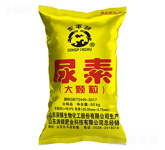 ���w������-�|ƽ��-���y����