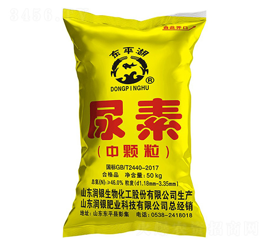 ���w������-�|ƽ��-���y����