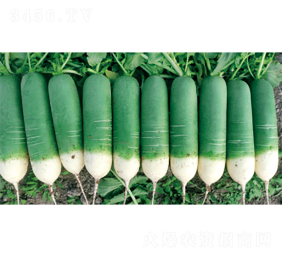 ������G-�}���N��-�����N�I(y��)