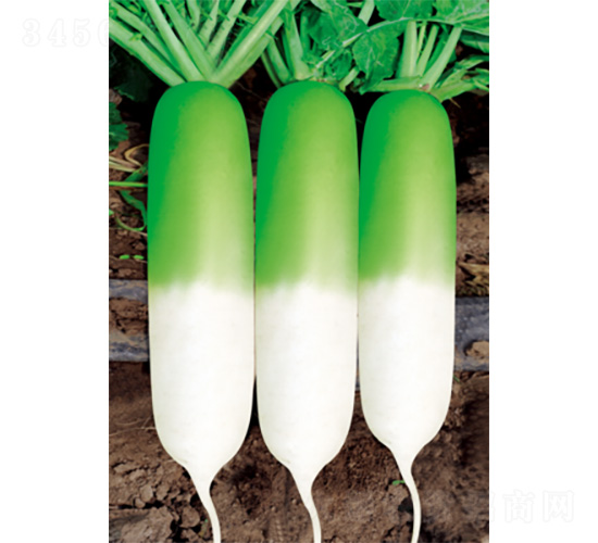 �������S-�}���N��-�����N�I(y��)