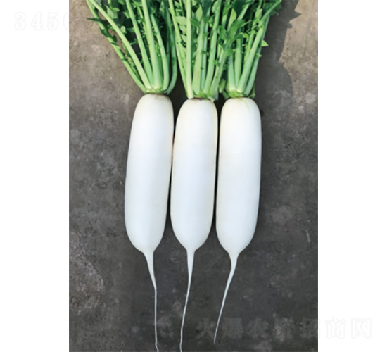 ��������-�}���N��-�����N�I(y��)