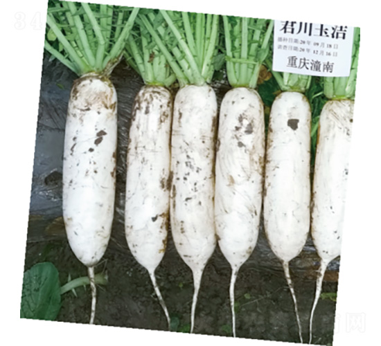 ������-�}���N��-�����N�I(y��)