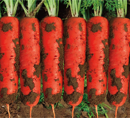 ��t-���}���N��-�����N�I(y��)