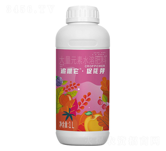 ׷Ψ���ٻ�ѿ-�l(xi��ng)ϲ