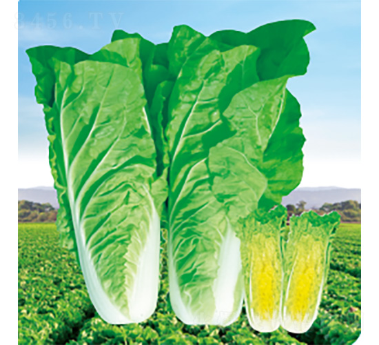 ������-��˷N��-�����N�I(y��)