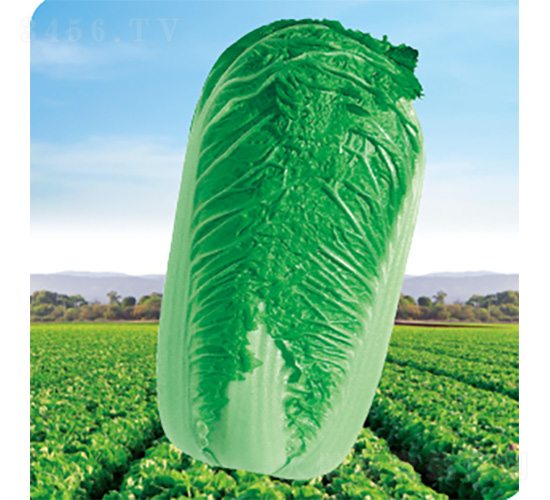 CR����3̖-�ײ˷N��-�����N�I(y��)