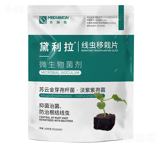 ���x����Ƭ-������-��٤�z